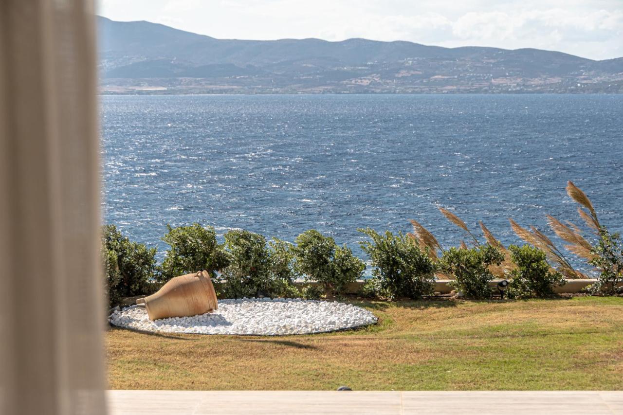 Dionysus House And Ariadne Apartment 스텔리다 외부 사진