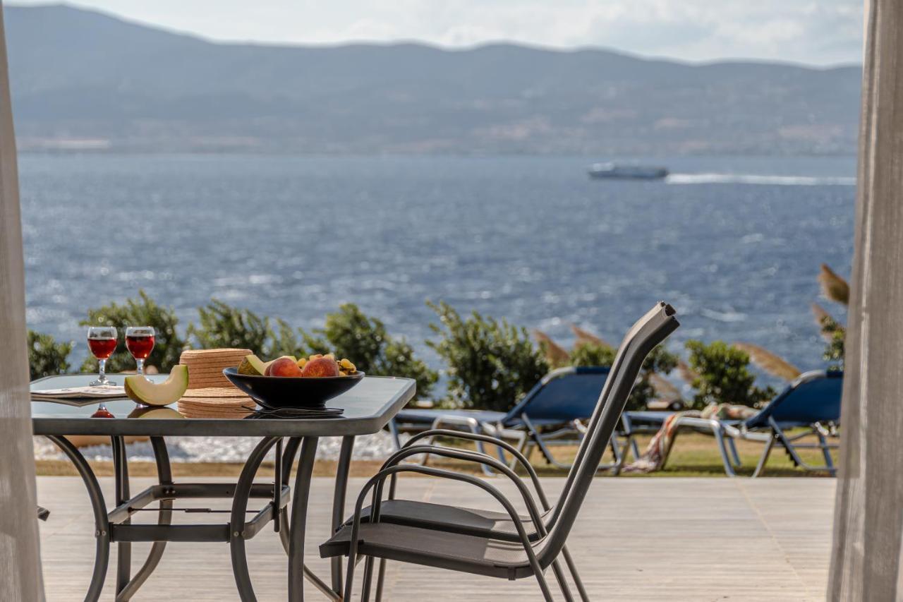 Dionysus House And Ariadne Apartment 스텔리다 외부 사진